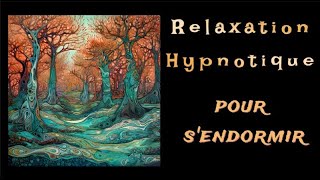 Relaxation et Histoire hypnotique pour Dormir rapidement  Ici même est votre Refuge [upl. by Hebel815]