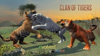 Clan of Tigers Android Gameplay 1080p HD [upl. by Akins480]