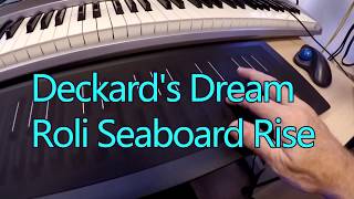 Deckards Dream with Roli Seaboard Rise [upl. by Artimid]