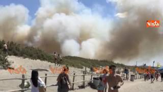 Incendio a Capalbio la fuga dei bagnanti dalla spiaggia [upl. by Ostraw]