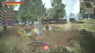 Proof That Fort Damage On Console Black Desert Online Is Extremely Bugged Right Now [upl. by Hake]