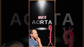 What is Aorta [upl. by Airdnaid518]