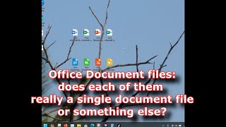 Office Document files does each of them really a single document file or something else [upl. by Gilletta]