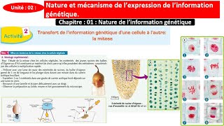 Transfert de linformation génétique dune cellule à lautre  la mitose 2BAC شرح بالداريجة [upl. by Lenahc698]