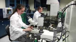 Undergrads Research Metalorganic Framework at Clarkson University [upl. by Aljan]