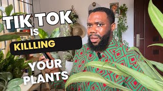 Terrible Advice that is actually Killing your Plants [upl. by Etnud]