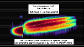 Lerchengesang 54  Dupontlerche  ein Klangkomet  ein Glissando durch harmonische Spektralklänge [upl. by East]