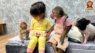 Monkey YiYi is very happy when she is with YoYo Jr and Ai Tran [upl. by Catt]