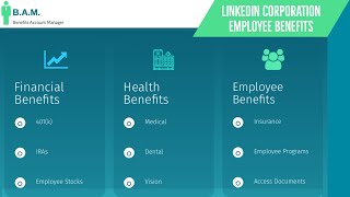 LinkedIn Corporation Employee Benefits  Benefit Overview Summary [upl. by Taam]