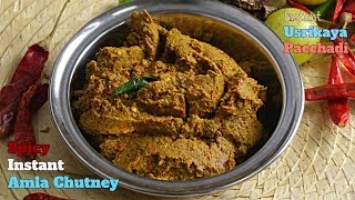 Instant Spicy Amla Chutneyఉసిరికాయ పచ్చడివారం పాటు నిలవుంటుంది ఈ పచ్చడి మర్చిపోలేరు దీని రుచి [upl. by Eissalc]