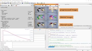 HALCONs DeepLearningBased Object Detection 2 Train a model [upl. by Reviel]