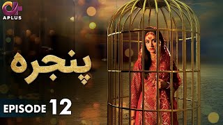 Pakistani Drama  Pinjra  Episode 12  Aplus Gold  Yumna Zaidi Nauman Aijaz  CZ1O [upl. by Nadia]