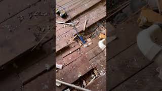 TRUNKING LID DOES IT AGAIN 🤌🏻 electrian electricallife diy work rewiring electrical sparky [upl. by Heger]