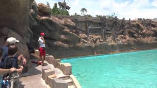 Typhoon Lagoon wave pool Disney world [upl. by Bibah]