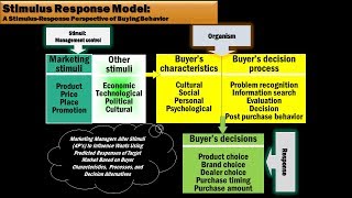 19 Stimulus Response Model by Tracy McGee [upl. by Bolanger]