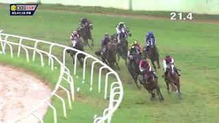 HIGH SPEED DIVE THE CHAMPION JOCKEY CUP DIV II 105 [upl. by Krefetz221]