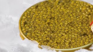 Markys  Karat Caviar Farm process and quality Caviar Osetra and Caviar Kits [upl. by Entsirhc687]