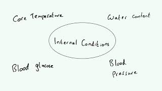 Homeostasis  AQA GCSE 91 Biology B5 [upl. by Eiramait]