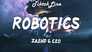 ROBOTICS  ZaeHD amp CEO Lyrics  Come to the back yes come to the back [upl. by Taryn]