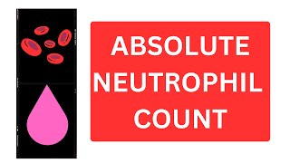 Absolute Neutrophil Count  Definition Formula WBC Count Normal Range [upl. by Onailime]