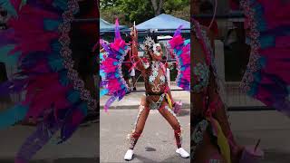 Caribana 2023 Highlights PT 1 [upl. by Kared]