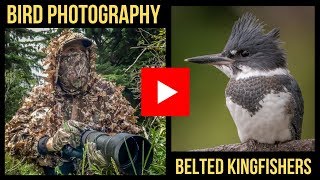 BIRD PHOTOGRAPHY  PHOTOGRAPHING BELTED KINGFISHERS IN BC Behind the Shot Video 2019 [upl. by Ttebroc]