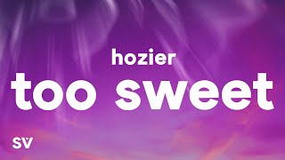 Hozier  Too Sweet Lyrics [upl. by Ahsetel]