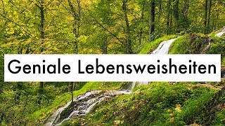 Geniale Lebensweisheiten  Witzige Zitate amp Weisheiten des Lebens [upl. by Meer]