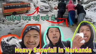 Heavy Snowfall In Narkanda 🌨️  गाड़ियां फस गई बर्फ में  Shimla Narkanda Weather Update [upl. by Llennej282]