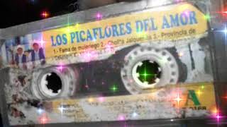 Picaflores del Amor Cortegana Celendin Mi Fama de mujeriego Video Official [upl. by Nav563]