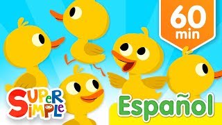 Cinco Patitos Y Más Canciones Infantiles  Música Para Niños [upl. by Penney902]