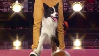 Supertalent 2013 Lukas Pratschker amp sein Border Collie quotDog Dancequot [upl. by Aseena12]