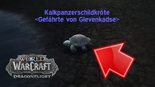 Kalkpanzerschildkröte  WoW Dragonflight Secret Haustier Guide  World of Warcraft Kampfhaustier [upl. by Veronique]