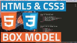 HTML5 and CSS3 beginner tutorial 16  The CSS box model [upl. by Oicirtap]