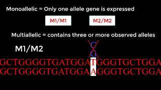 Understanding Single Nucleotide Polymorphisms amp Biallelic Alleles [upl. by Xenia]