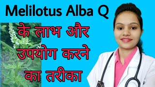 Melilotus Alba Homeopathic medicine Uses Review Side effects in Hindi [upl. by Spancake]