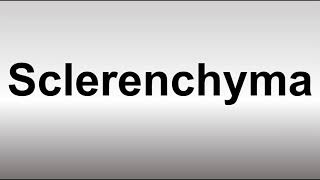 How to Pronounce Sclerenchyma [upl. by Aneeras]