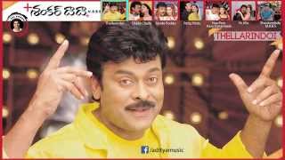 Shankardada M B B S Movie  Full Songs Jukebox  Chiranjeevi Sonali Bindre [upl. by Burny]