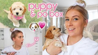 THE FIRST PUPPY VLOG 😍 lockdown vlog 11 [upl. by Pollerd]