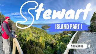 Exploring Stewart Islands Thrilling Wildlife and Secret Treasures [upl. by Vookles]