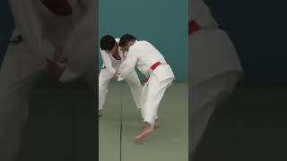 Tadahiro nomura uchimata judo [upl. by Eetsud298]