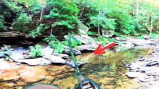 BFS Ned Rig Fishing a Small Creek  Warrior Bass [upl. by Caldwell668]