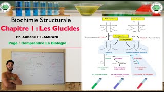 Séance 7  Propriétés chimiques des oses  Propriétés dues à la fonction alcool  Action des Acides [upl. by Reinhard137]