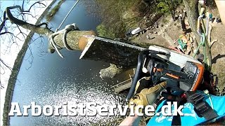 Big Tree Removal over Lake House  Tree Climbing Arborist  Tree Rigging Techniques [upl. by Eedna]