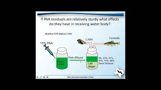 Paracetic Acid for Disinfection of Municipal Effluent [upl. by Frederic792]