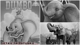 JETA E TRISHTUAR E DUMBO ELEFANTI QE FRYMEZOI DISNEY in [upl. by Adnovaj797]