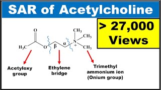 SAR of Acetylcholine SAR of Parasympathomimetics Explained with structures [upl. by Aydidey902]