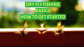 Dry Fly Fishing Basics [upl. by Nuahsor]