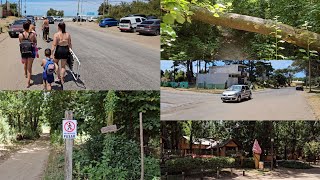 Los Bosques De Santa Teresita En Febrero Un Dia Sofocante La Costa Argentina [upl. by Doownil366]