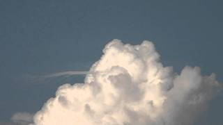 pileus timelapse [upl. by Derrik90]